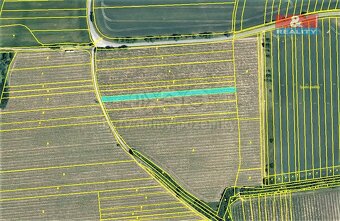 Prodej vinice, 1728 m², Hostějov - 3