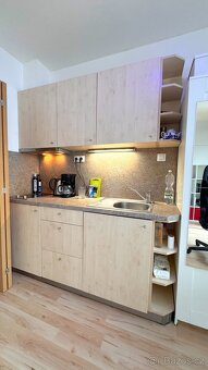 Pronájem 1+kk s balkonem na ul.Lidická, Brno - Veveří - 3