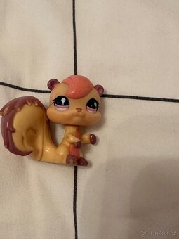 Lps veverka - 3