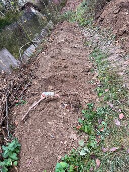 Hlína zemina za odvoz Řideč Šternberk - 3