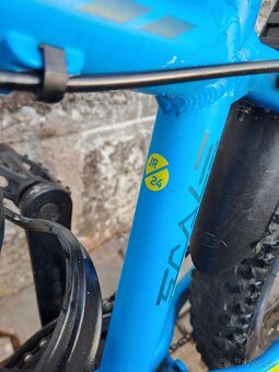 SCOTT scale plus JR24 - 3