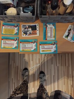 NHL KARTIČKY 95/96 - 3