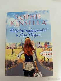 Láska mluví francouzsky, Deníky Carrie B., Ztráty a nálezy - 3