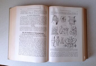 Domácí lékař r. 1938 - 3