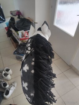 Hobby horse na prodej - 3