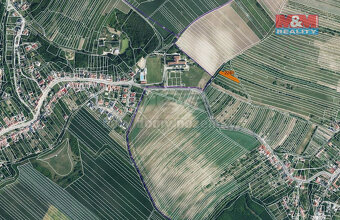 Prodej pole, 115 m², Stavěšice - 3
