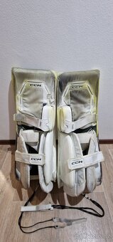 CCM Axis f9 34+1 + CCM Eflex 6.9 rukavice (intermediate) - 3