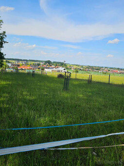 Pastevní ustájení České Budějovice - 3