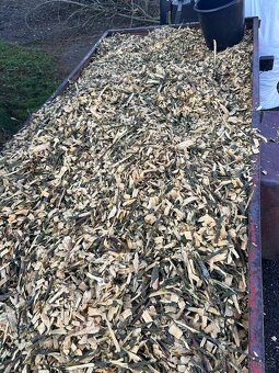 Dřevní stepka-Listnaté dřevo - 3