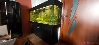 Akvarium 430 l - 3