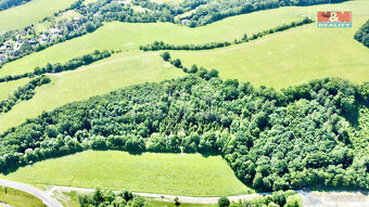Prodej lesa, 12990 m², Vyšehoří - 3
