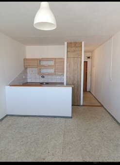 Pronájem bytu - 3