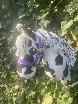 Hobby horse - 3