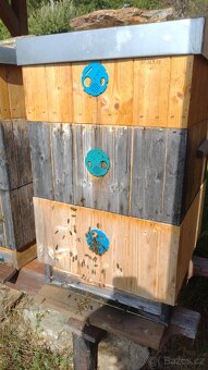 Včelstva (6) - včely s úly 39 x 24 cm - 3