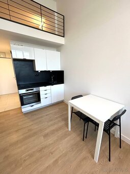 byt (loft) 1+kk, 30m2 v ul. Poděbradská, Praha 9 - Vysočany - 3