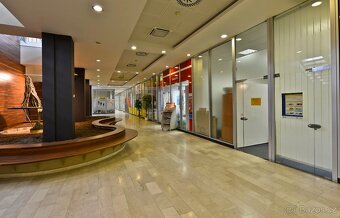 Bez provize Pronájem kanceláře 37 m², Praha 10 Vršovice - 3