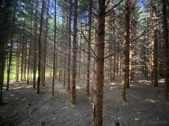 Lesní pozemek a pozemek ostatní plocha Horní Lánov - 3