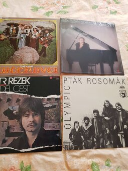 LP GRAMOFONOVÉ DESKY - 3