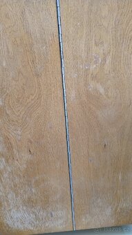 Starý peřiňák. - 3