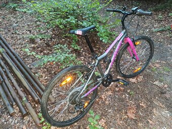 Author ultima 24 - 3