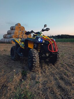 Can am renegade 500 - 3