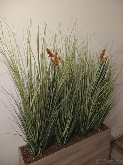 Umělá dekorativní tráva - 3