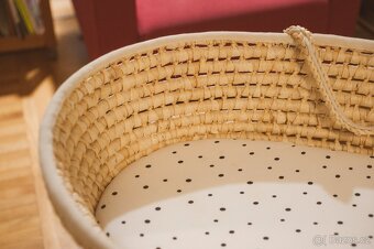 Mojžíšův koš - 3