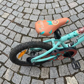 Scott kolo junior 16 - 3