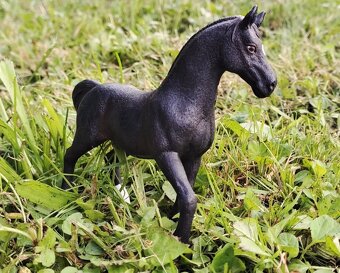 Custom schleich - 3