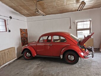 VW Brouk 1200, r.v. 1964 - 3