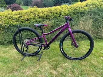 Mrx 27,5 Barbus Face sport - 3