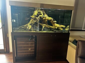 Prodám zařízené akvárium - 3