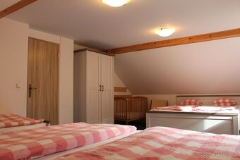 Chalupa Olešnice v Orlických horách - 3