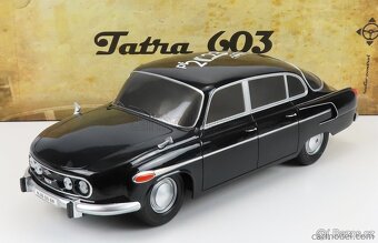 Modely 1:24, 1:14 Tatra, Mercedes, Polonez - 3