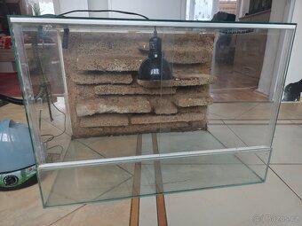 Terarium - 3