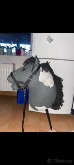 Hobby horse - 3