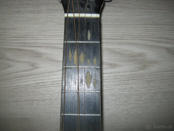 Prodám starší hranou kytaru MSA Musikinstrumente C21 - 3
