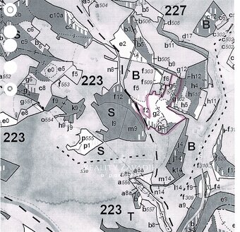 Prodej lesa 27 814 m², Morávka, ev.č. 00984 - 3
