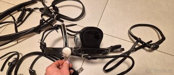 Poprsní postroj pro minihorse - 3