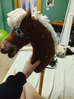 hobby horse - 3