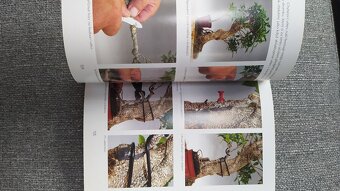 Bonsai nejen v paneláku - 3