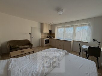 Pronájem bytu 1+kk 27 m², České Budějovice 6, ev.č. N08663 - 3