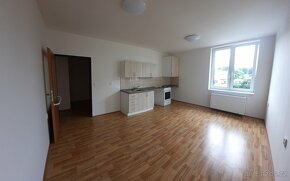 Pronájem bezbariérového bytu 1+kk 29 m² Ryžoviště - 3
