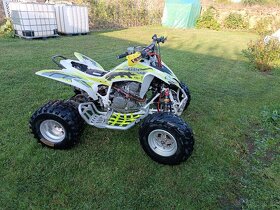Yamaha Raptor 250 - 3
