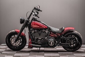 2021 Harley Davidson Softail Custom - 3