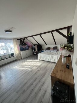 Prostorný 5+1 dvougenerační RD u Moravského Berouna - 3