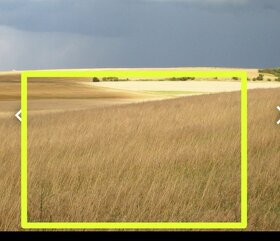 Pronajmu pole o rozloze 10000m2  Červený Hrádek u Plzně - 3