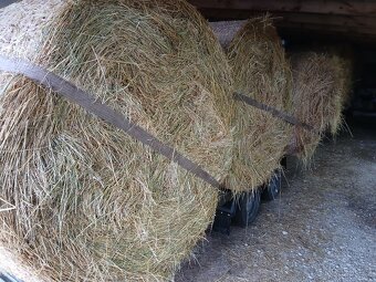 Seno z Vysočiny s dopravou - 3