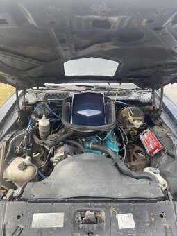 Pontiac Firebird 5.0 V8 1981 - 3