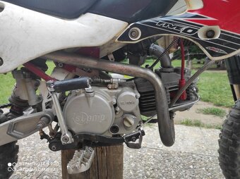 Pitbike Champs 160yx stomp - 3